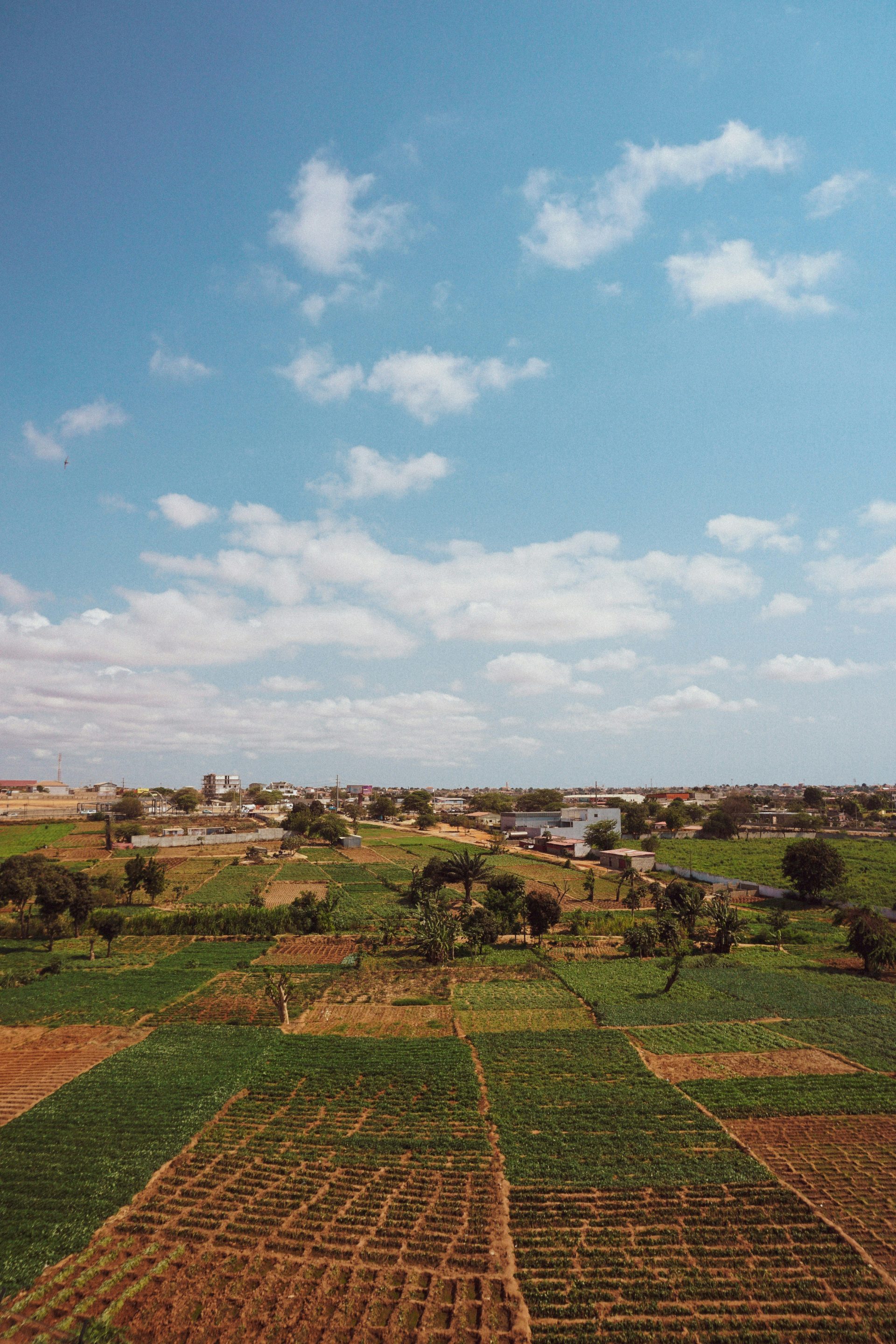 green grass field under blue sky during daytime